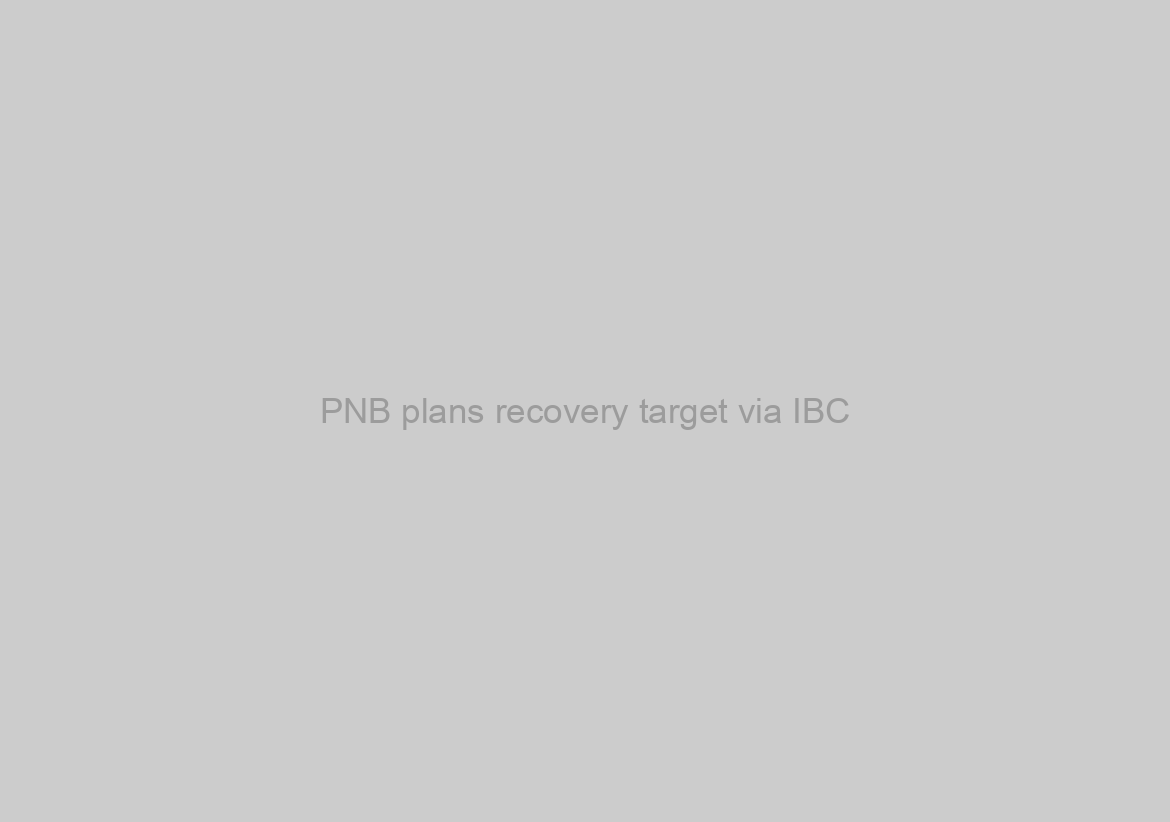 PNB plans recovery target via IBC